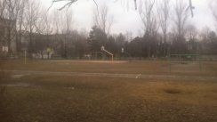 Площадка для воркаута в городе Рыбница №4825 Большая Советская фото